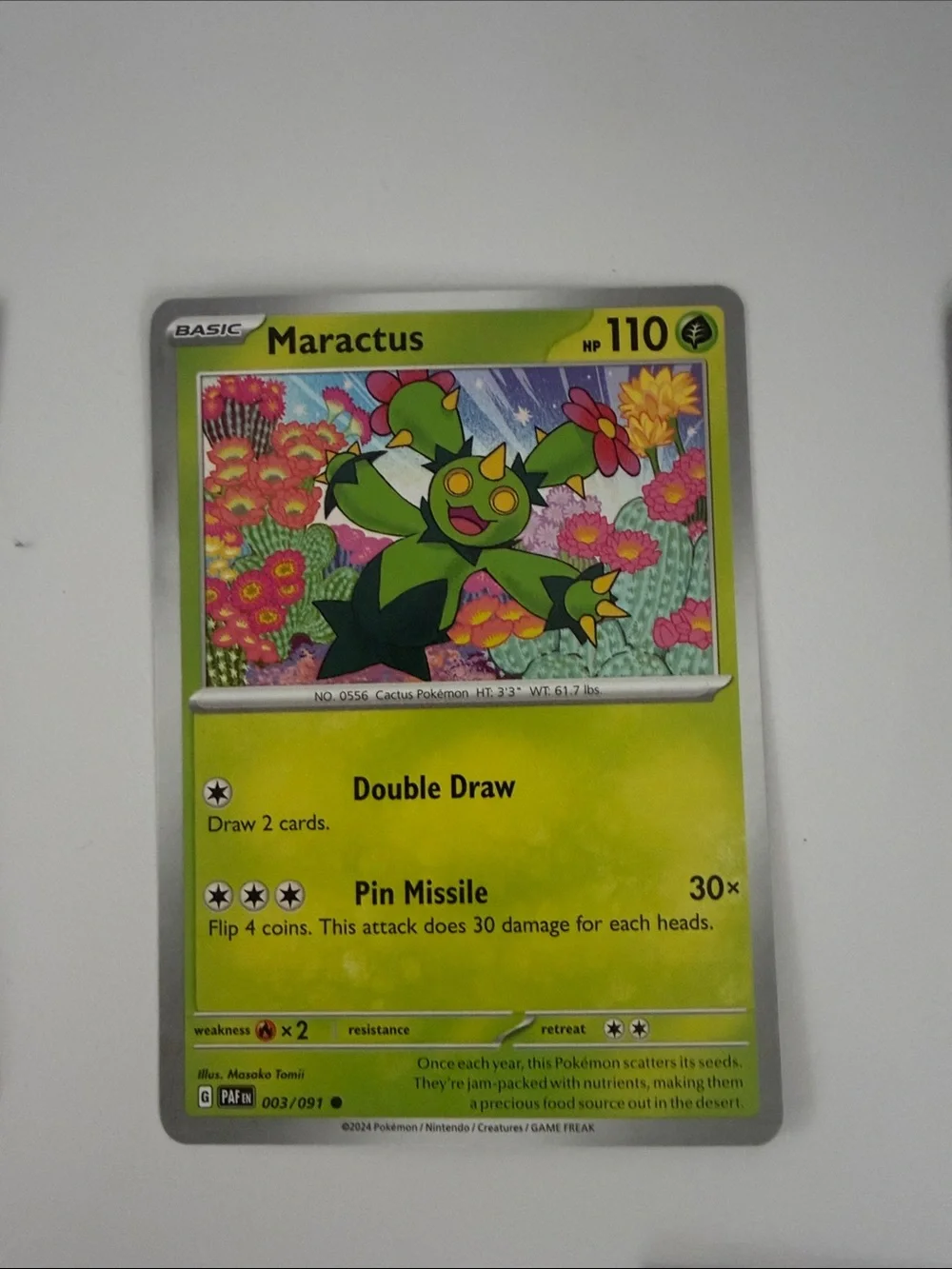 🌿 Forest Pokémon Card Lot | Tropius Maractus Burmy Wormadam Crustle ✨5/$25✨